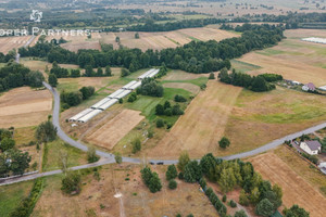 Działka na sprzedaż 7100m2 białobrzeski Wyśmierzyce Ulaski Grzmiąckie - zdjęcie 1