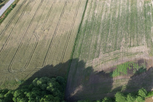 Działka na sprzedaż 1070m2 toruński Zławieś Wielka Zarośle Cienkie - zdjęcie 3