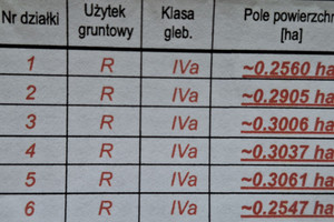 Działka na sprzedaż 2560m2 poznański Tarnowo Podgórne Lusówko Dopiewska - zdjęcie 2