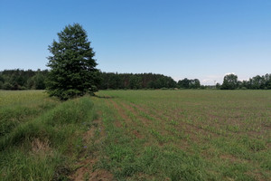 Działka na sprzedaż 94567m2 nowotomyski Nowy Tomyśl Cicha Góra Bukowiecka - zdjęcie 1