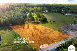 Działka na sprzedaż 3026m2 gdański Kolbudy Czapielsk Pelargonii - zdjęcie 3