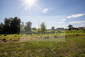 Działka na sprzedaż 6700m2 bolesławiecki Bolesławiec Mierzwin - zdjęcie 3