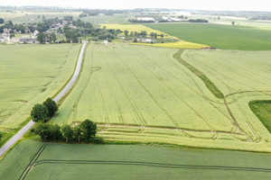 Działka na sprzedaż 7920m2 bydgoski Sicienko Gliszcz - zdjęcie 2