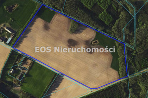 Działka na sprzedaż 60000m2 rypiński Rypin Sadłowo - zdjęcie 2