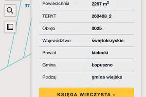 Działka na sprzedaż kielecki Łopuszno Nowek - zdjęcie 4