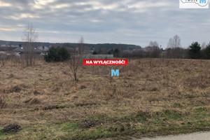 Działka na sprzedaż 3002m2 kielecki Łopuszno - zdjęcie 1