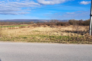 Działka na sprzedaż 1215m2 kielecki Górno Krajno-Zagórze - zdjęcie 2