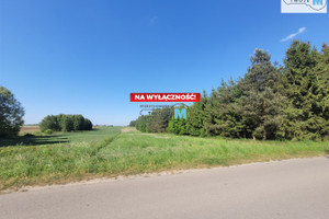 Działka na sprzedaż 12000m2 staszowski Szydłów Rudki - zdjęcie 1