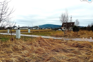 Działka na sprzedaż 11000m2 kielecki Bodzentyn Wilków - zdjęcie 2