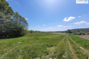 Działka na sprzedaż 5425m2 kielecki Masłów Masłów Drugi - zdjęcie 2