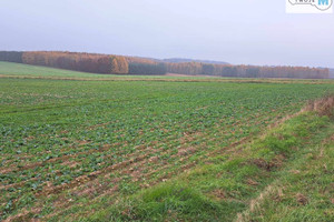 Działka na sprzedaż 9900m2 kielecki Chęciny Lelusin - zdjęcie 2