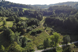 Działka na sprzedaż 1740m2 kłodzki Lewin Kłodzki Kocioł - zdjęcie 3