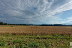 Działka na sprzedaż 918m2 dzierżoniowski Pieszyce - zdjęcie 3