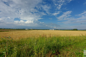 Działka na sprzedaż 918m2 dzierżoniowski Pieszyce - zdjęcie 1