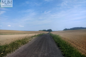 Działka na sprzedaż policki Kołbaskowo Moczyły - zdjęcie 3