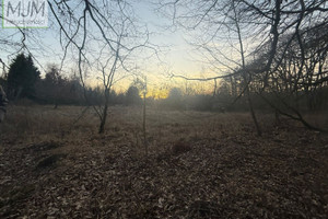 Działka na sprzedaż 7300m2 policki Police Pilchowo - zdjęcie 4