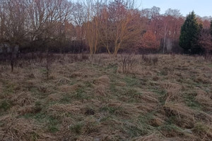 Działka na sprzedaż 7300m2 policki Police Pilchowo - zdjęcie 3