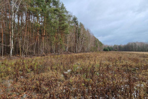 Działka na sprzedaż 18200m2 piaseczyński Prażmów Piskórka - zdjęcie 3