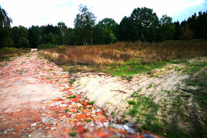 Działka na sprzedaż 1000m2 warszawski zachodni Leszno Wiktorów Rybno - zdjęcie 3