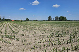 Działka na sprzedaż 1085m2 warszawski zachodni Leszno Ogrodowa - zdjęcie 2