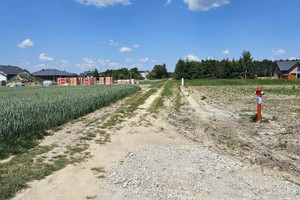 Działka na sprzedaż 950m2 warszawski zachodni Leszno Zaborówek - zdjęcie 2