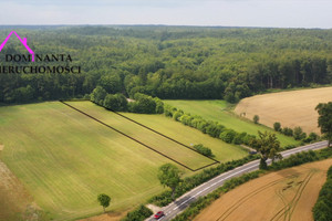 Działka na sprzedaż 7200m2 pucki Puck Zdrada Leśna - zdjęcie 3