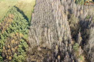 Działka na sprzedaż 24938m2 buski Busko-Zdrój Budzyń - zdjęcie 3