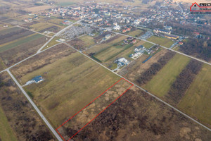 Działka na sprzedaż 8200m2 buski Solec-Zdrój - zdjęcie 3