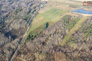 Działka na sprzedaż 24938m2 buski Busko-Zdrój Budzyń - zdjęcie 2