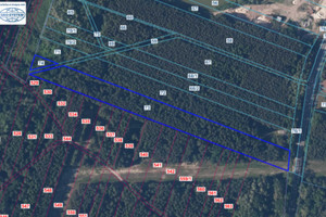 Działka na sprzedaż 12600m2 kazimierski Opatowiec Kraśniów - zdjęcie 1