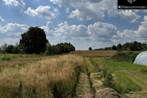 Działka na sprzedaż 37000m2 siedlecki Siedlce Ujrzanów - zdjęcie 2