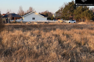 Działka na sprzedaż 1508m2 miński Dębe Wielkie Polna - zdjęcie 1