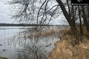 Działka na sprzedaż 1125m2 olsztyński Biskupiec Stanclewo - zdjęcie 3