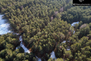 Działka na sprzedaż 3500m2 węgrowski Stoczek Leśna - zdjęcie 3