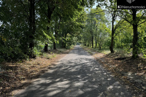 Działka na sprzedaż 1122m2 żuromiński Siemiątkowo Zygmunta Padlewskiego - zdjęcie 3