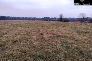 Działka na sprzedaż 13700m2 węgrowski Sadowne - zdjęcie 4