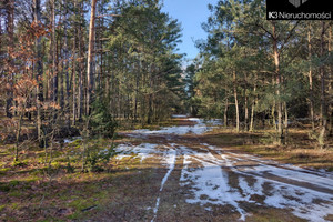 Działka na sprzedaż 3500m2 węgrowski Stoczek Leśna - zdjęcie 2