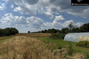 Działka na sprzedaż 37000m2 siedlecki Siedlce Ujrzanów - zdjęcie 3