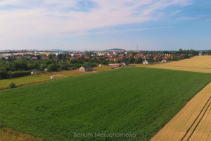 Działka na sprzedaż ząbkowicki Ząbkowice Śląskie - zdjęcie 3