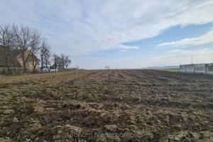 Działka na sprzedaż 7500m2 ząbkowicki Ząbkowice Śląskie Stolec - zdjęcie 1