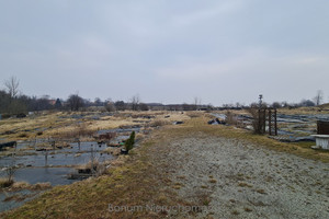 Działka do wynajęcia 11000m2 ząbkowicki Kamieniec Ząbkowicki Sosnowa - zdjęcie 2