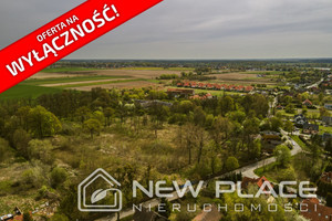 Działka na sprzedaż 40760m2 wrocławski Czernica Jeszkowice Główna - zdjęcie 2