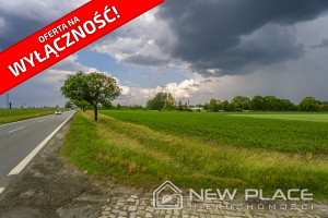 Działka na sprzedaż 22800m2 wrocławski Jordanów Śląski - zdjęcie 1