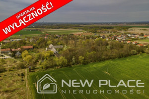 Działka na sprzedaż 40760m2 wrocławski Czernica Jeszkowice Główna - zdjęcie 1