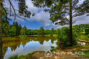 Działka na sprzedaż 1001m2 kłodzki Szczytna - zdjęcie 3