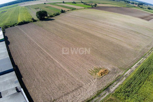 Działka na sprzedaż 8200m2 rawicki Rawicz Dębno Polskie Dębno Polskie - zdjęcie 1