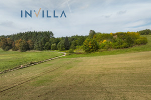 Działka na sprzedaż 4100m2 starogardzki Skarszewy Wilcze Góry - zdjęcie 3