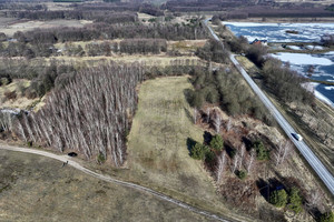 Działka na sprzedaż 6900m2 trzebnicki Trzebnica Kuźniczysko - zdjęcie 2