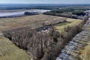 Działka na sprzedaż 14200m2 trzebnicki Trzebnica Kuźniczysko - zdjęcie 2