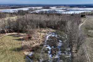 Działka na sprzedaż 14200m2 trzebnicki Trzebnica Kuźniczysko - zdjęcie 3